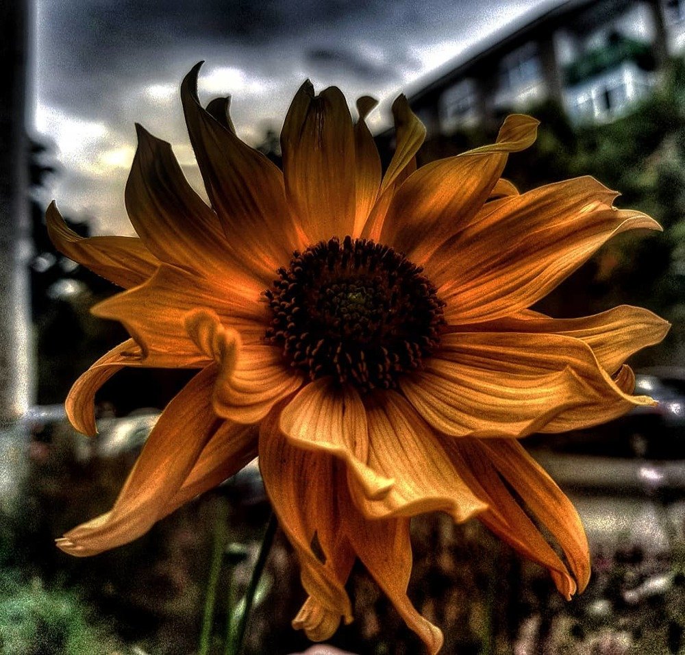 Photograph by Denisa Pantea