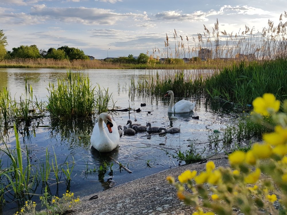 Photograph by Denisa Pantea