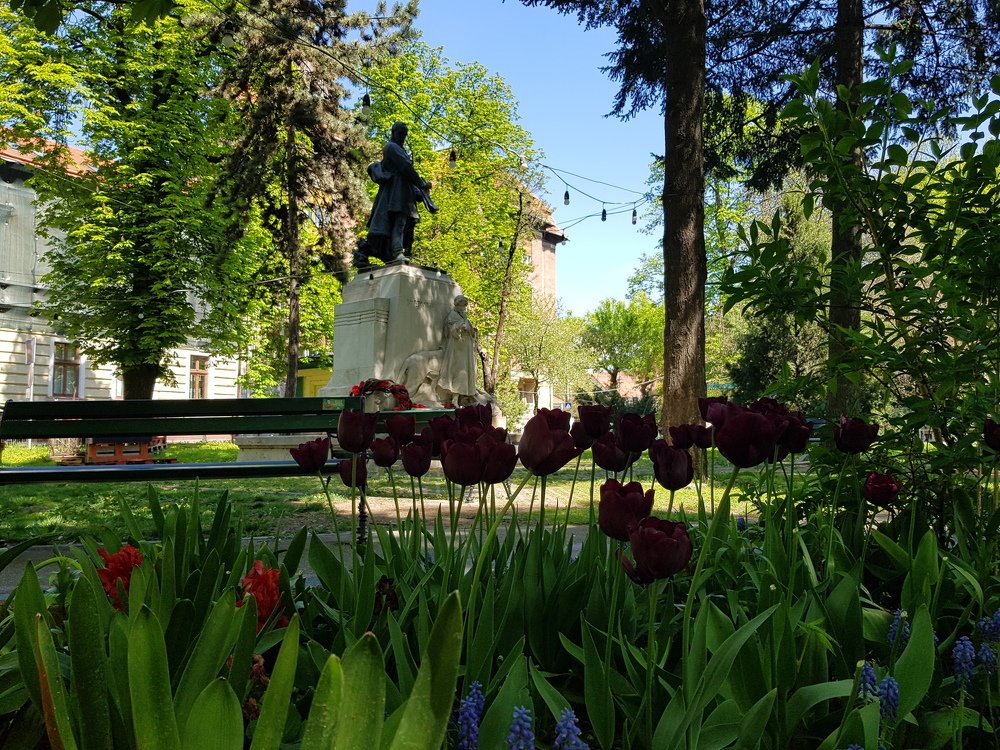 Photograph by Denisa Pantea