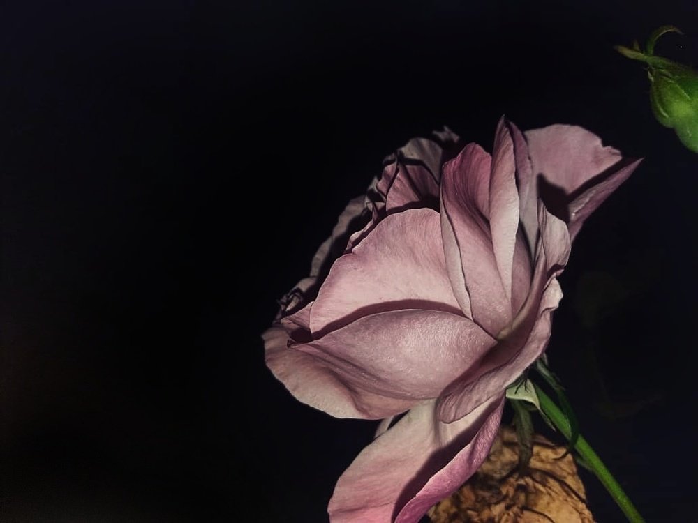 Photograph by Denisa Pantea