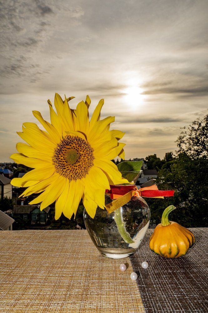 Этюд с цветами