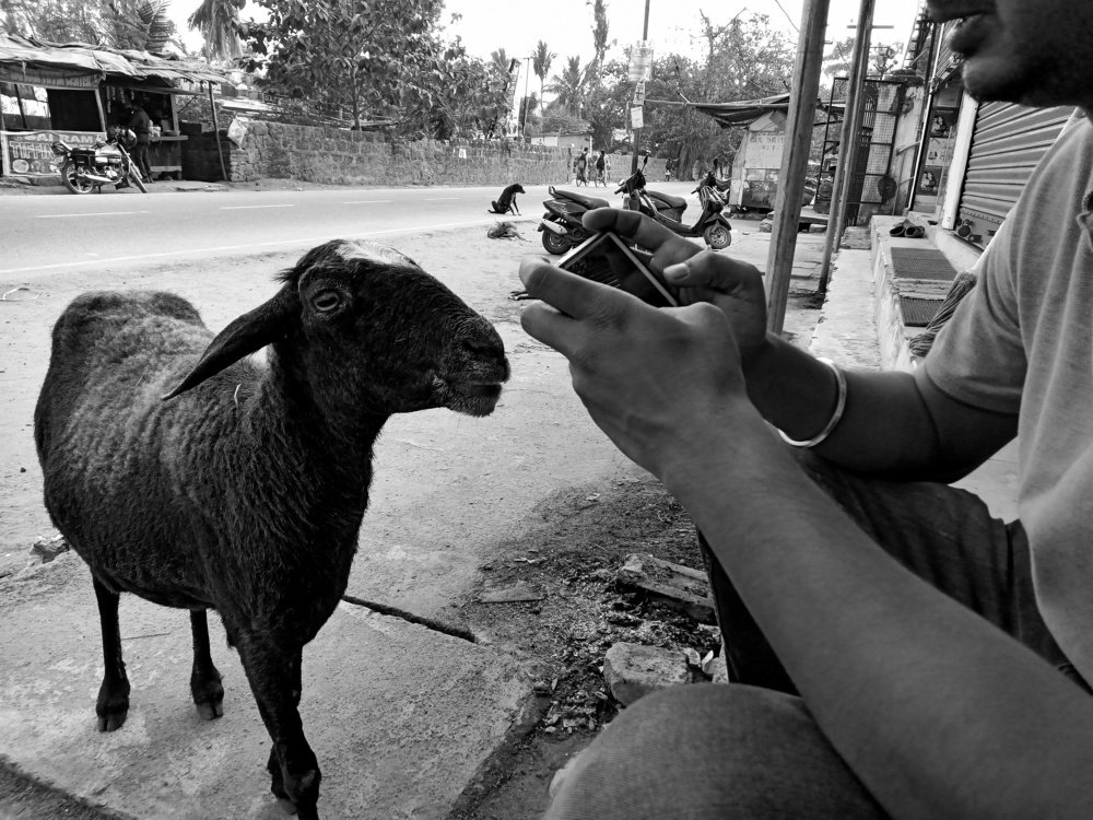 Photograph by Sarveswar Biswal