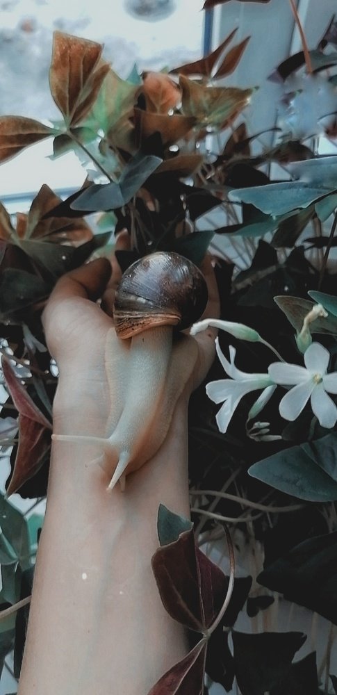 Photograph by Тихонова Ольга