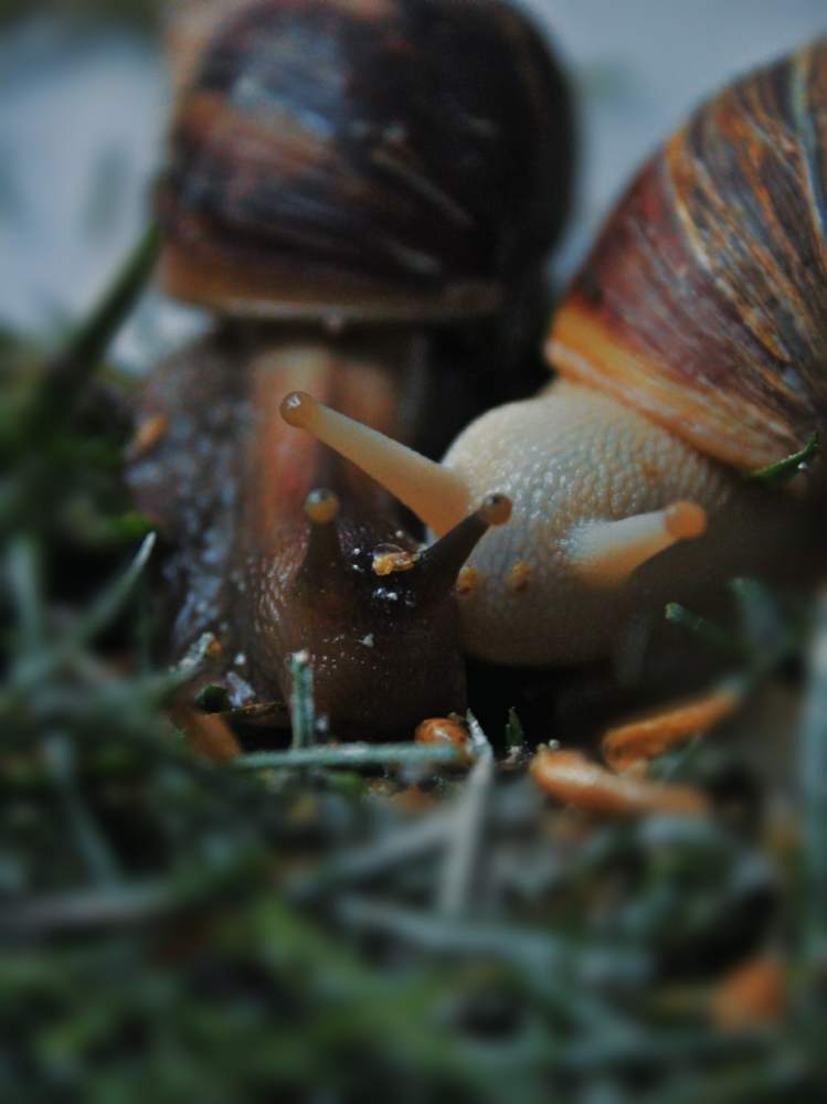 Photograph by Тихонова Ольга