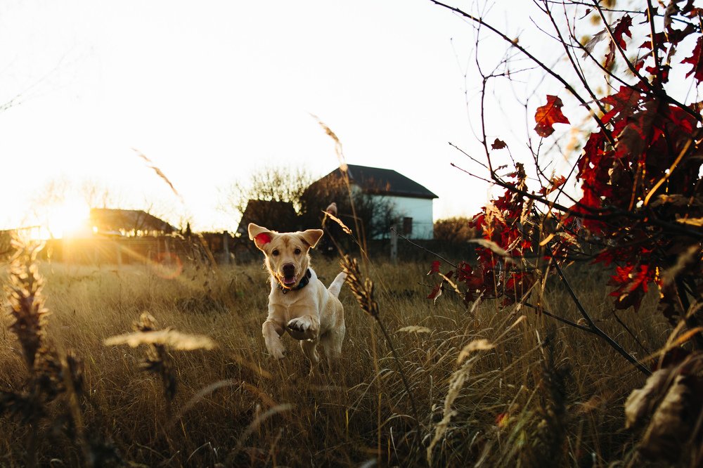 Photograph by Роберт Поляк