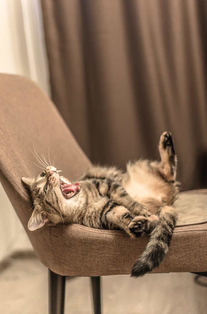 Фотография автора Константин Яковлев