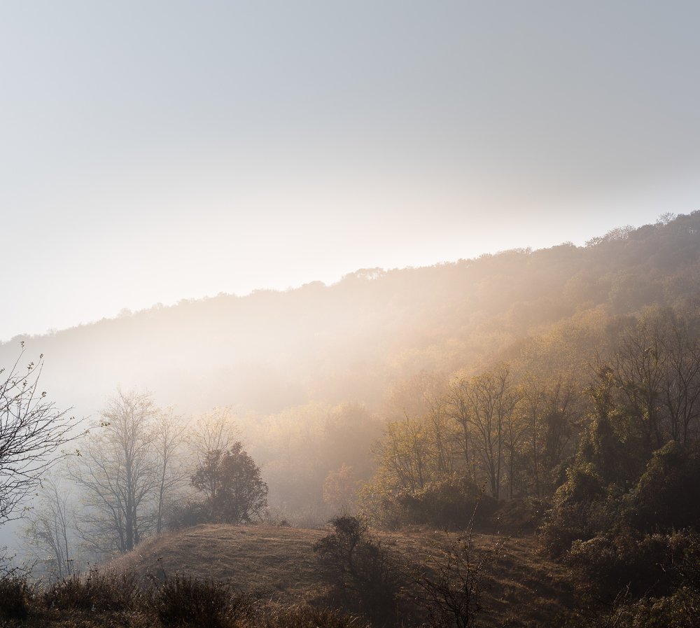 Photograph by Csakvari Janos