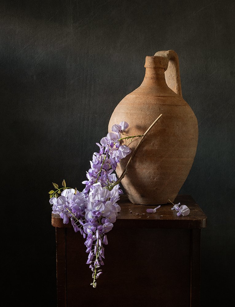 С глицинией