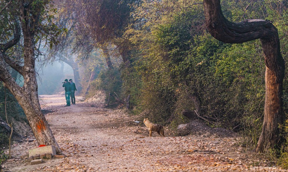 Photograph by tapas acharya