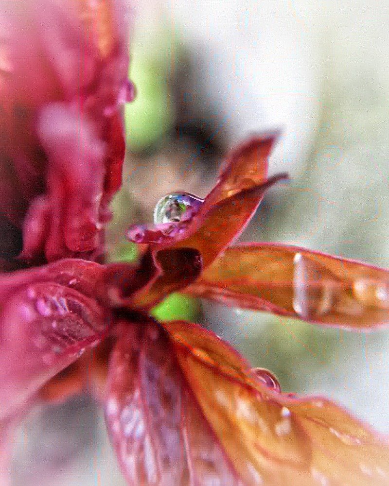 Photograph by Екатерина Ремез