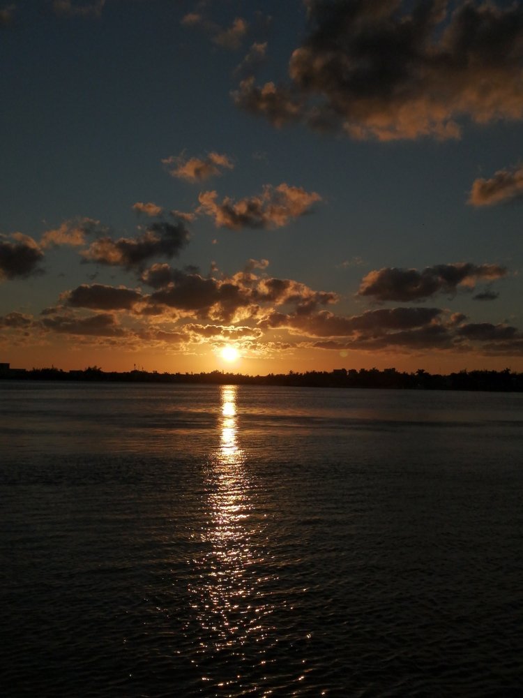 Photo #4534555