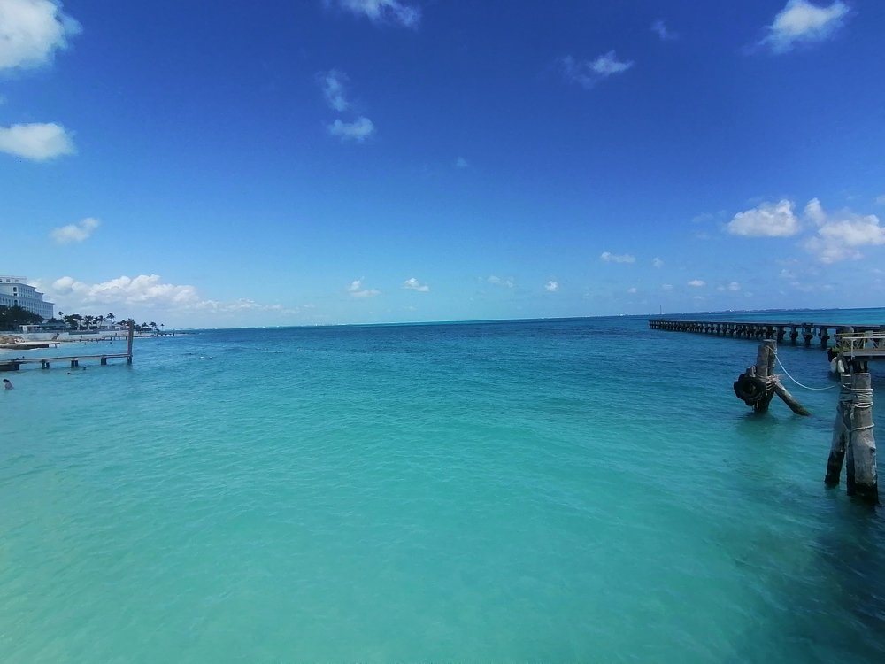 Photo #4534564