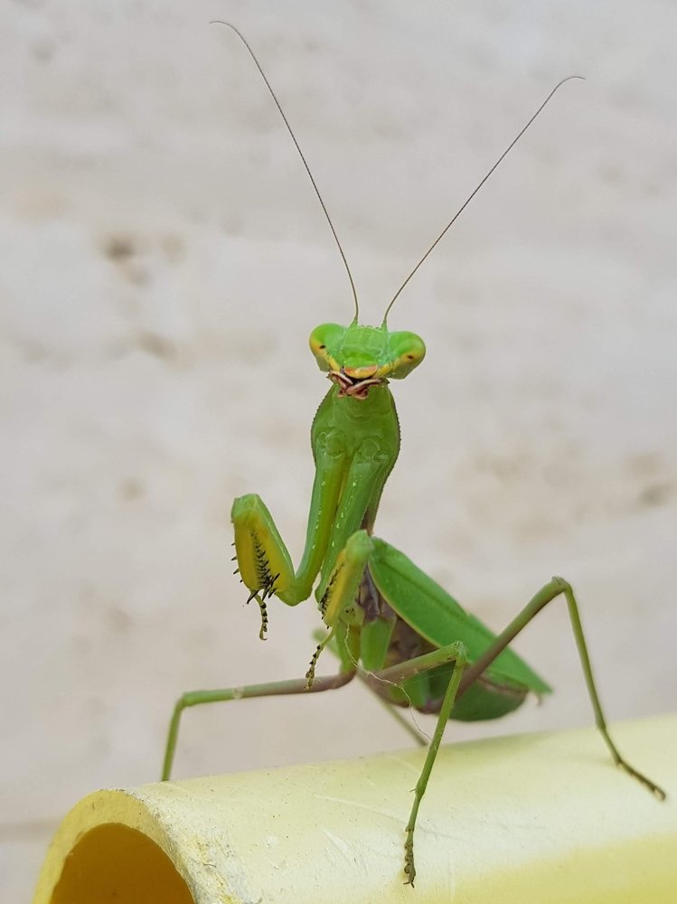 Photograph by Максим Бесчастнов