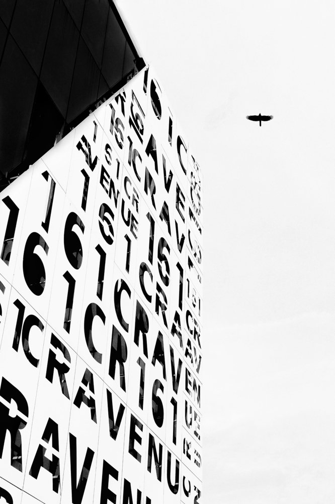 Photograph by Arpan Biswas