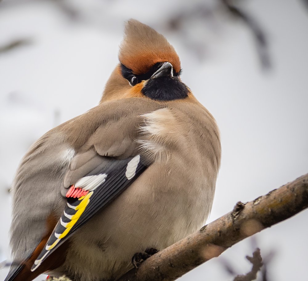 Photograph by Курлянцев Алексей