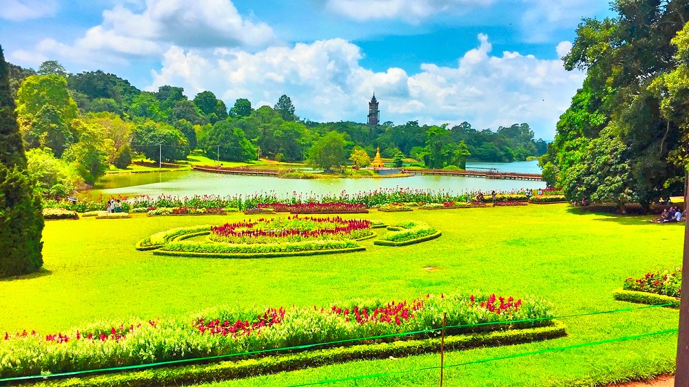 Фотография автора Ko Hla Myint Oo