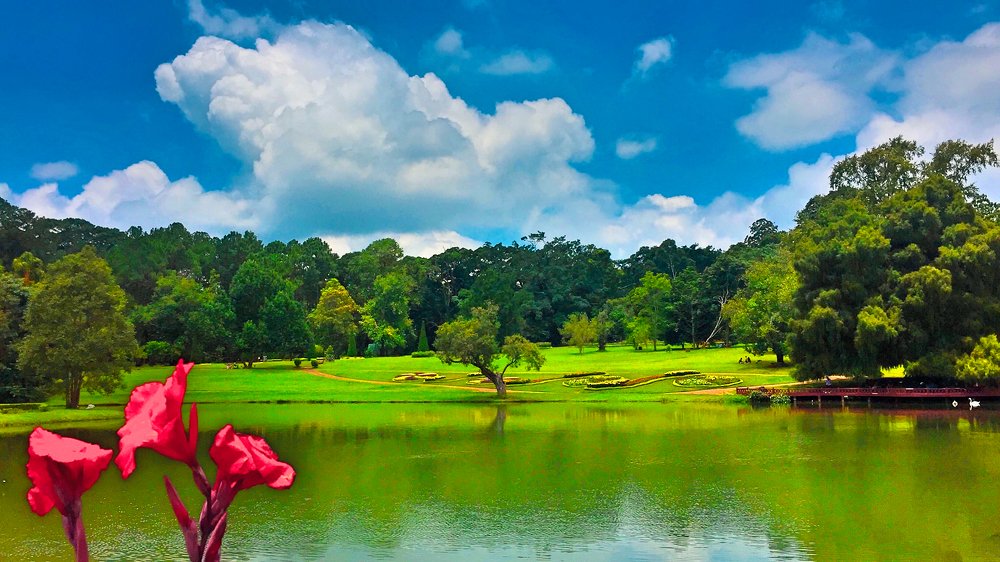 Фотография автора Ko Hla Myint Oo