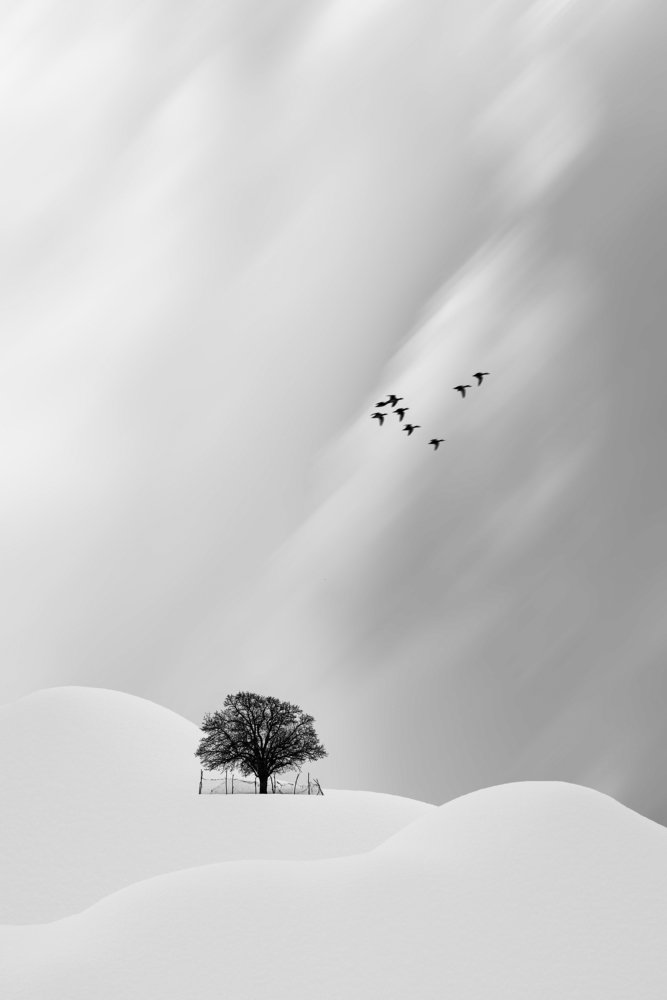 Photograph by Sherzad Rostamdost