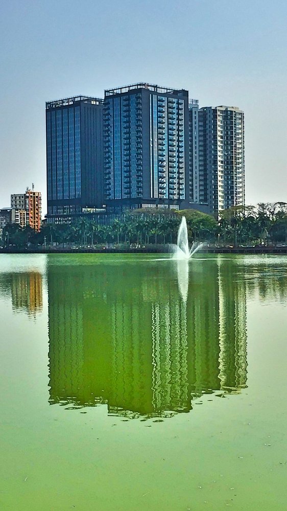 The Project Of Architecture