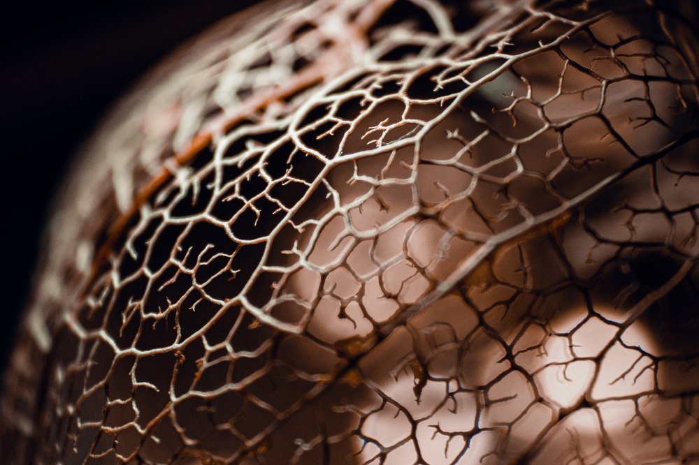 Photograph by Evgeniya Shipakova