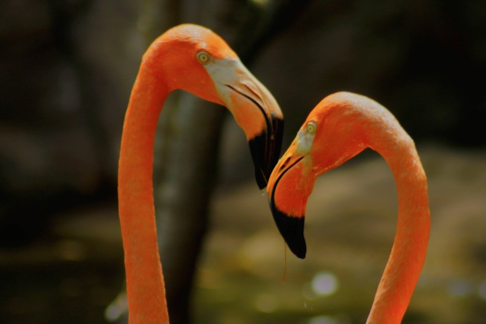 Photograph by Francisco Ferreira