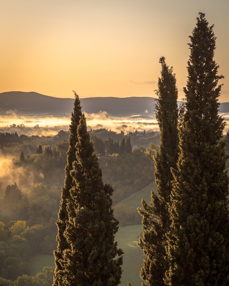 Тосканский рассвет