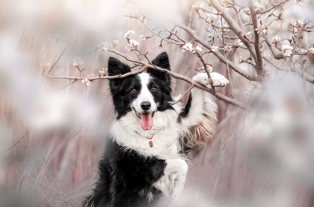 Photograph by Екатерина Кикоть