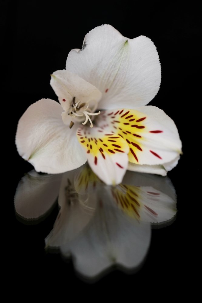 Photograph by Ирина Бунина