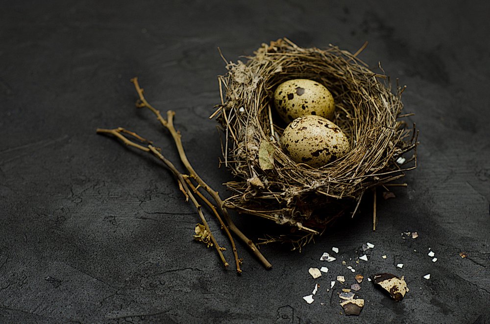 Photograph by Наталия Иванова