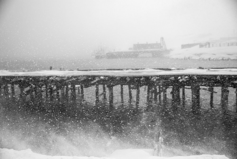 Photograph by Сергей Ширинкин