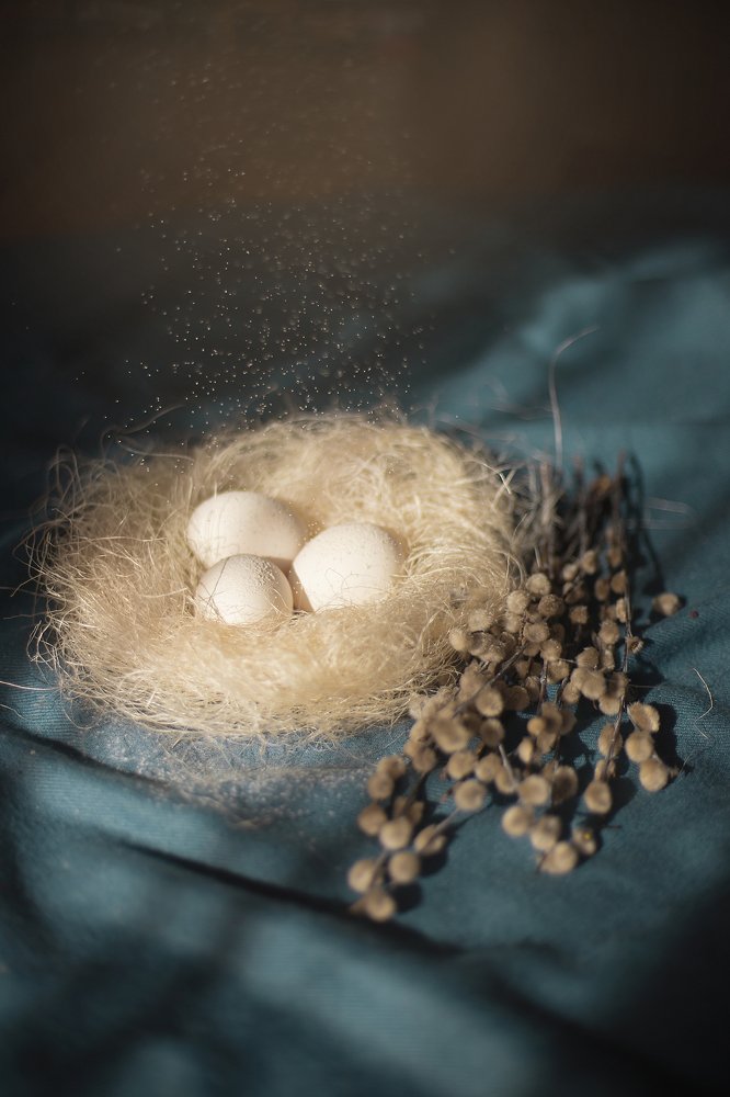 Photograph by Ольга Матиевская