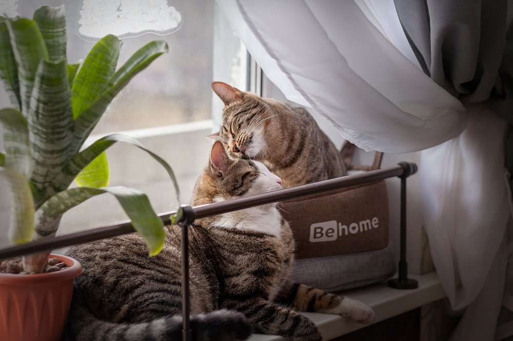 Photograph by Наталия Иванова