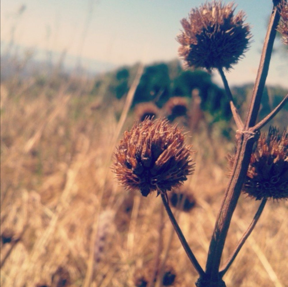 Photo #4535572