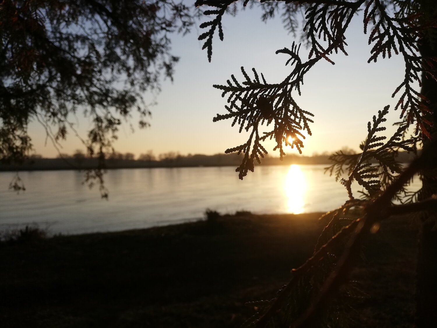 Photo #4535719