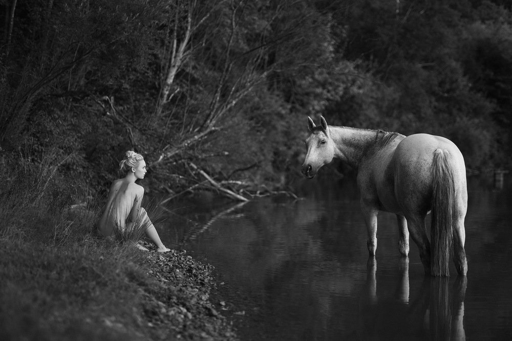 Photograph by Reiner