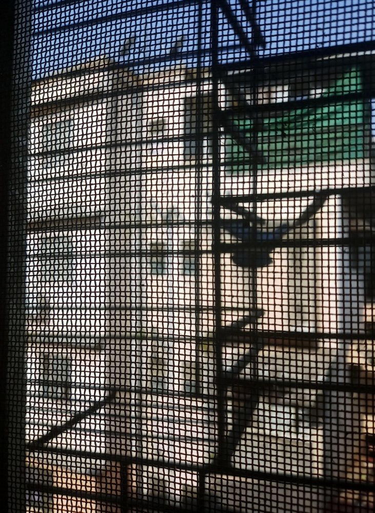 Photograph by Ambewadikar sourabh