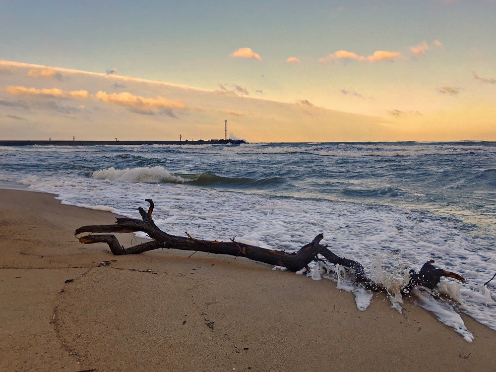 Photograph by Galina Baranovskaja