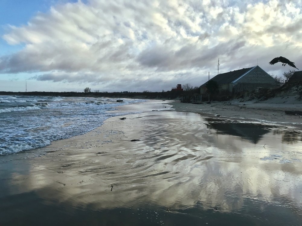 Photograph by Galina Baranovskaja