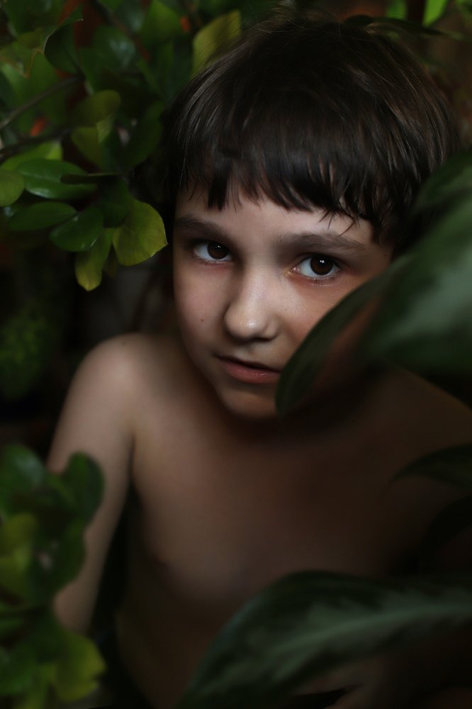 Photograph by Юлия Трап