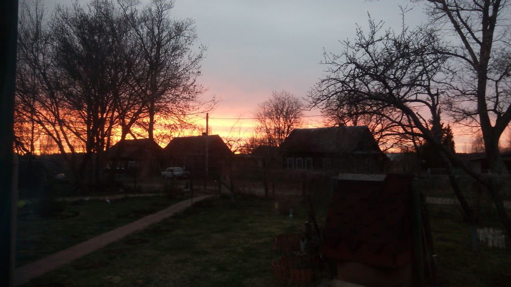 Photo #4536090