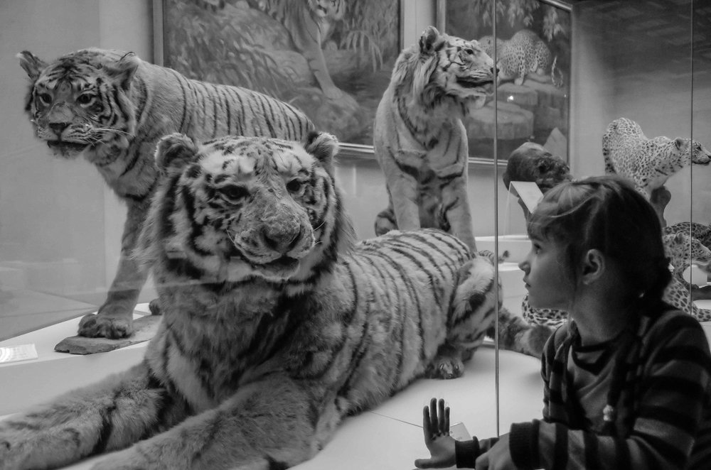 Фотография автора Марина Савчиц