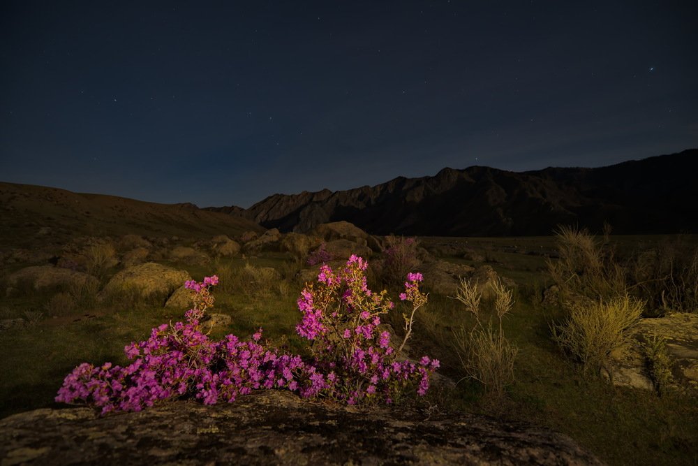 Photograph by Александр КАИ