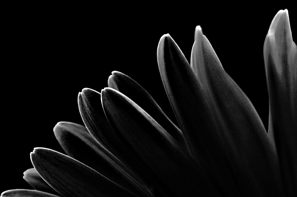 Photograph by Евгений Козлов