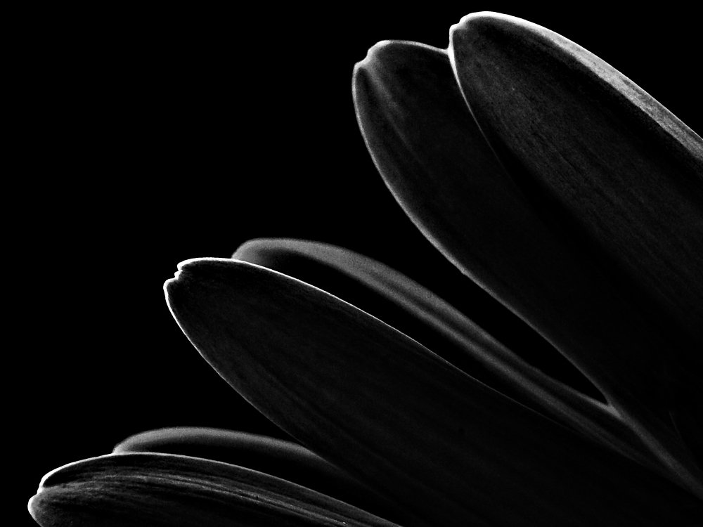 Photograph by Евгений Козлов