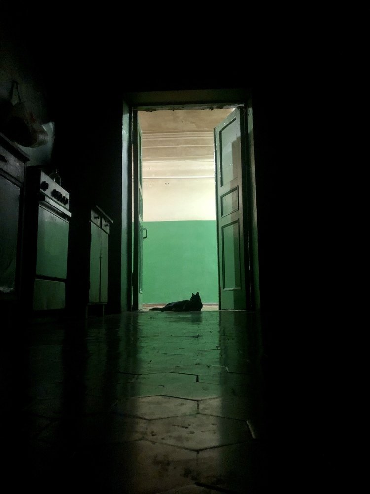 Photograph by Маргарита Гострик