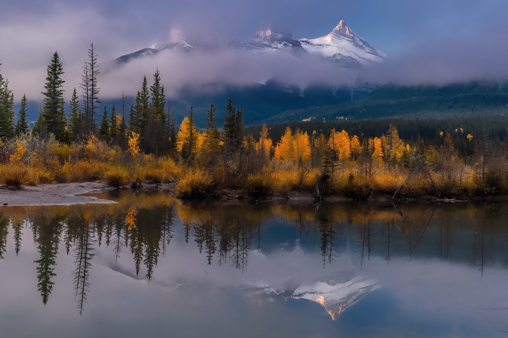 3 Sister Morning 5040