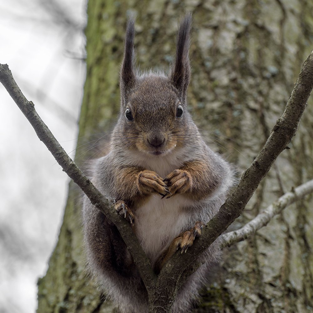 А что это вы не сидите дома, а...?
