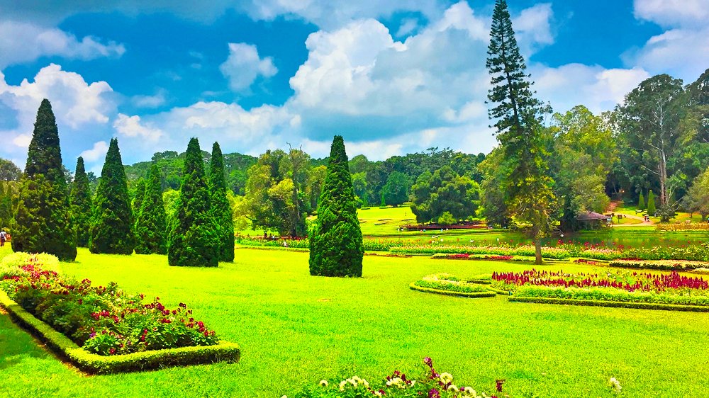 Фотография автора Ko Hla Myint Oo