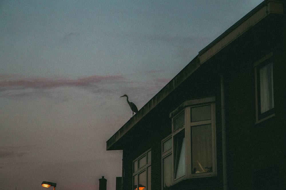 Photograph by Marina Uzelac