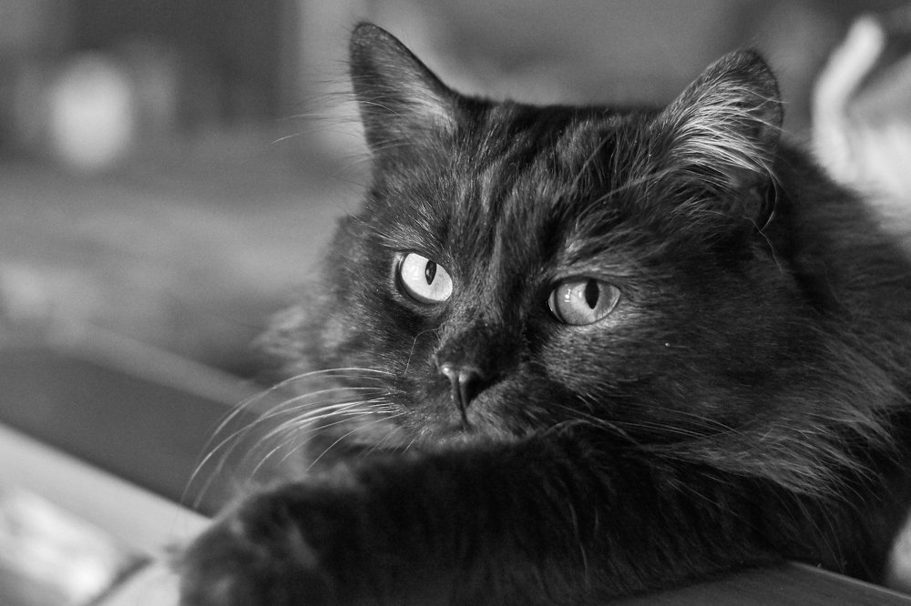 Photograph by Станислав Березкин